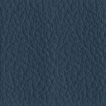 Denim F38